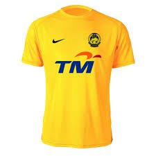 Training Jersey